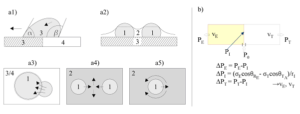 a) The separation process steps (1 = water, 2 = Toluene, 3 = hydrophilic surface, 4 = hydro-phobic surface): (a1) Laplace pressure difference induced water droplet movement to the hydrophilic surface. (a2) Water droplets coalescence due to capillary force