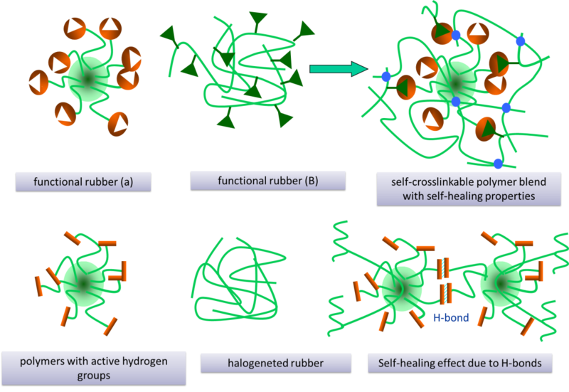 Elastomeric Definition Science at Elizabeth Fitzgerald blog