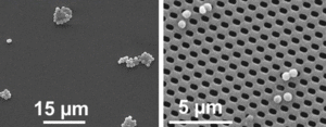 Initial bacterial adhesion on non- patterned and sub-micron patterned surfaces