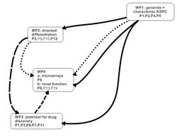 Organisation of the Network