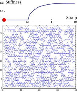 Biopolymer Networks Mechanics Biopolymer Networks Mechanics