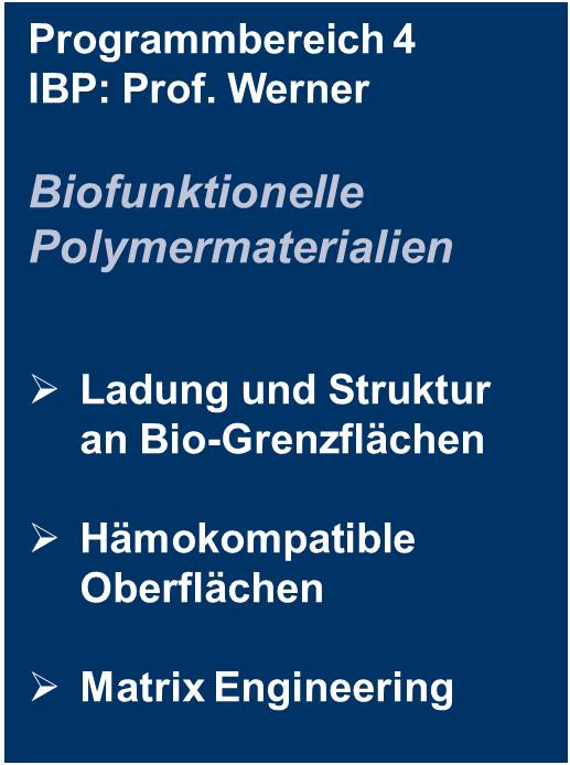 Programmbereich 4