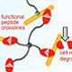 Biohybrid Hydrogels
