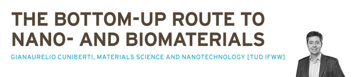 The bottom-up route to nano- and biomaterials, Gianaurelio Cuniberti, materials science and nanotechnology (TUD IFWW)