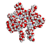 Spheric molecule of a dendrimer with 16 maltose units