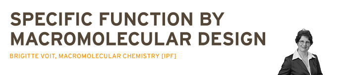 Specific function by macromolecular design, Brigitte Voit, macromolecular chemistry (IPF)