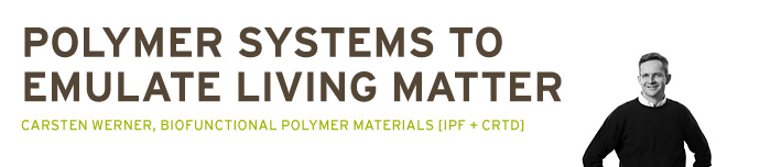 Polymer systems to emulate living matter, Carsten Werner, biofunctional polymer materials (IPF + CRTD)