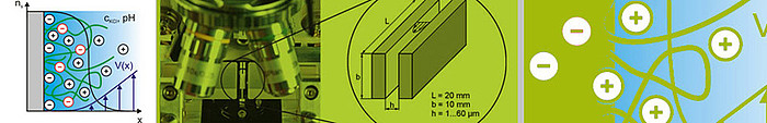 CHARGE, STRUCTURE  & ADHESION AT BIOINTERFACES - ELECTROSURFACE ANALYSIS