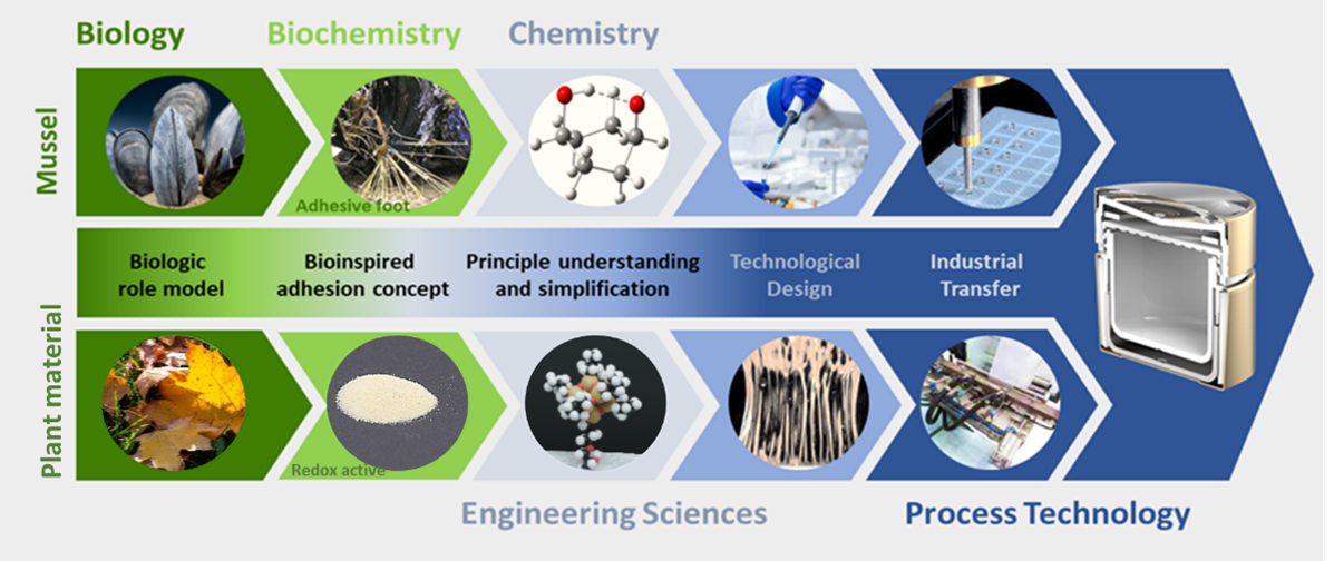 Process Technology