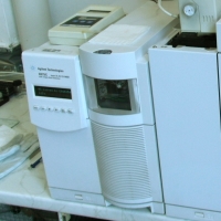 MSDetector