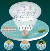 Biofunctionalization