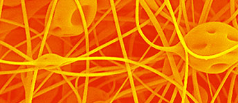 Electrospun fibres (cooperation with T.E. Long, USA)